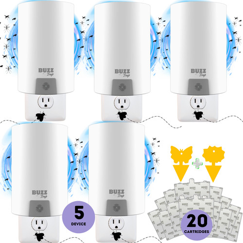 Flying insect trap indoor fly - flying,