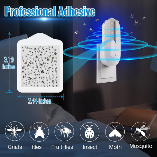 Pack flying insect - pack,